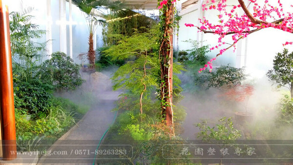 這樣的室內(nèi)庭院，簡直讓我尖叫！